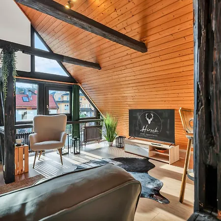 Hirsch Stadt 7 - Parkplatz - Fensterfront - Stadtblick * Bad Harzburg