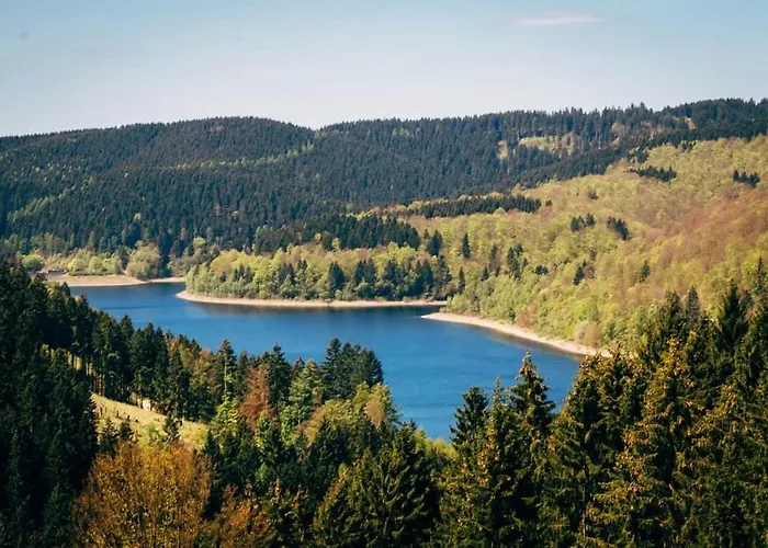 Hirsch Stadt 7 - Parkplatz - Fensterfront - Stadtblick Bad Harzburg