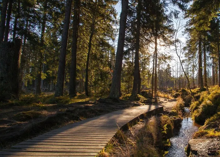 Lejlighed Hirsch Stadt 7 - Parkplatz - Fensterfront - Stadtblick Bad Harzburg
