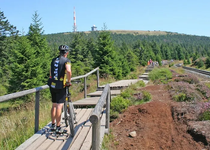 Hirsch Stadt 7 - Parkplatz - Fensterfront - Stadtblick Lejlighed